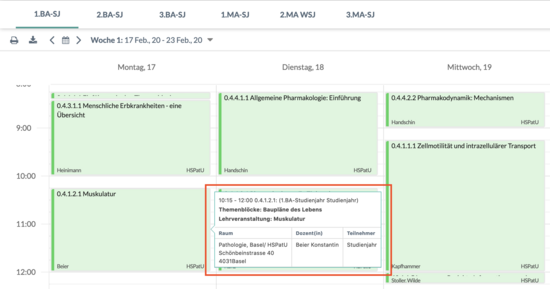 Informationsfenster Strukturstundenplan