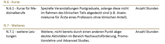N - Nachwuchsförderung, Promotionslehre und Advanced Studies