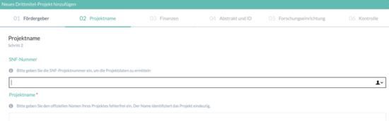 Project Name Window